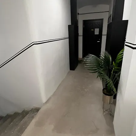 Zanna's - Matisa 101 * Riga