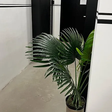 Lejlighed Zanna's - Matisa 101 *