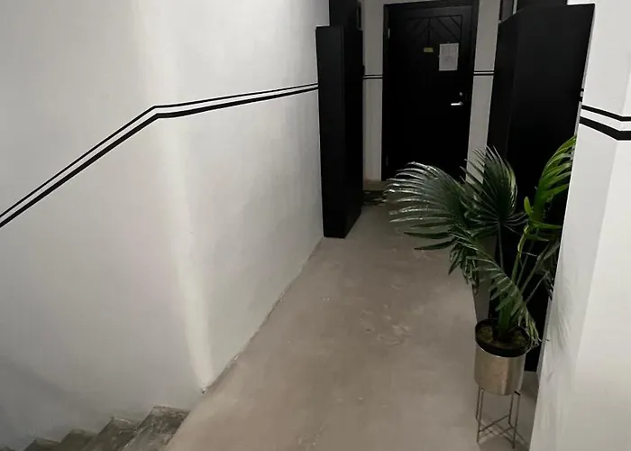 Zanna's - Matisa 101 * Рига